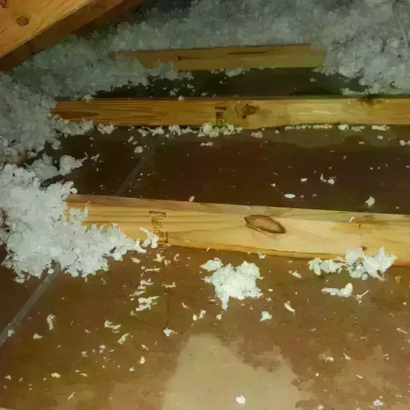 Attic Water Damage in Destrehan, LA